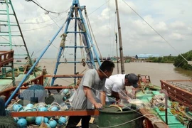 解除欧洲理事会IUU“黄牌警告”的4个解决方案