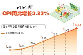 图表新闻：2020年CPI同比增长3.23%