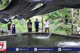 冷水性鱼类养殖与体验式旅游相结合的独特模式