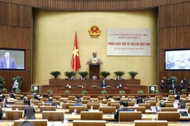 国会专职代表会议：讨论提请国会第三次会议审议的4项法律草案