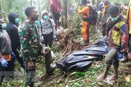 印尼一架小型飞机坠毁致8人死亡