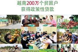 图表新闻：越南200万个贫困户获得政策性贷款