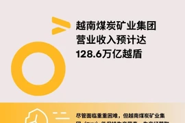 图表新闻：越南煤炭矿业集团收入预计达128.6万亿越盾