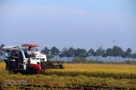 越南召开有关粮食食品系统的第一次国家对话会