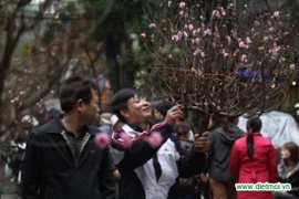 全国各地居民为2016丙申年春节作出准备