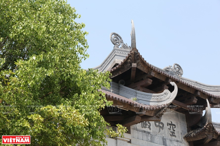 来到宁平省著名信仰旅游景点——沛顶寺寺院里，我们可看到葱郁茂盛的菩提树。图自 越通社/越南画报